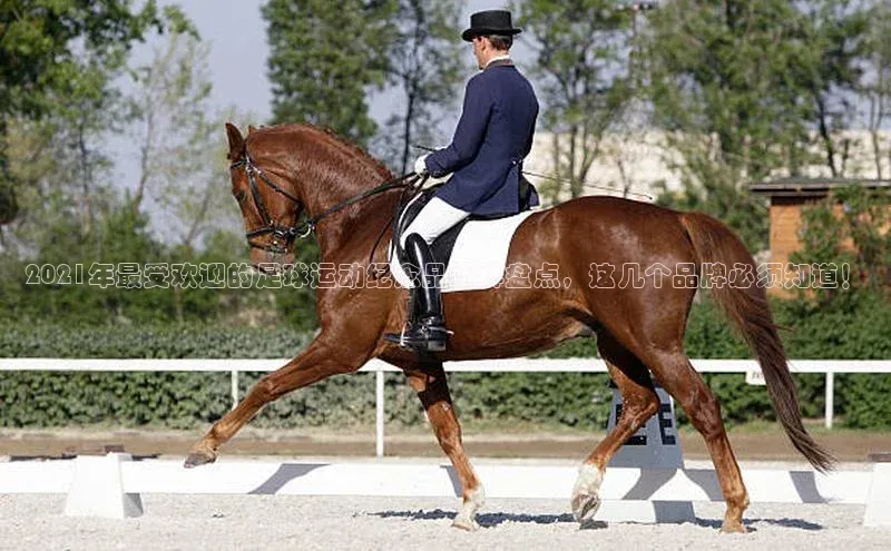 beat365 手机版官方网站网易2021年最受欢迎的足球运动纪念品品牌盘点，这几个品牌必须知道！