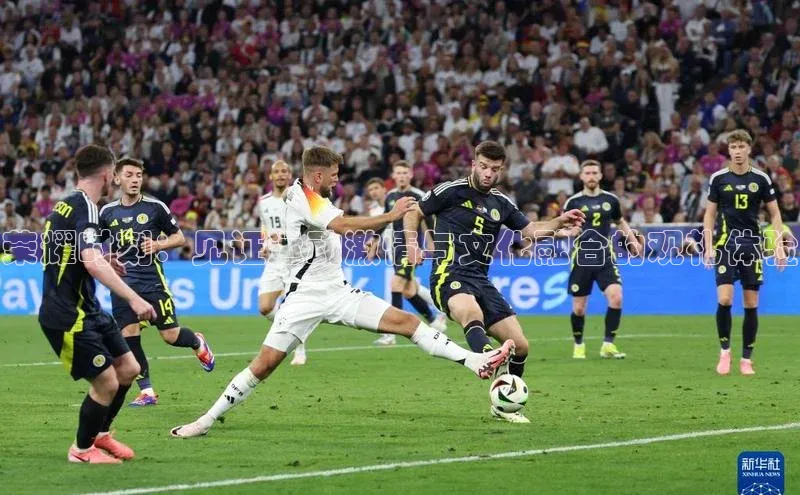 beat365百度翻译荣耀时刻：见证运动激情与文化融合的观礼体验