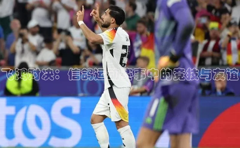 beat365官方唯一入口宇信科技飞鸿对决：信鸽运动赛事中的竞技与友谊