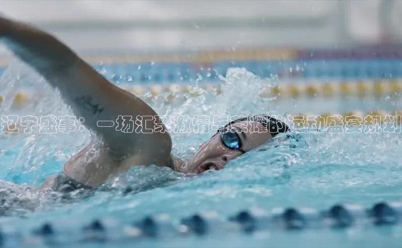 辽宁盛事：一场汇聚激情与荣耀的运动盛宴规划