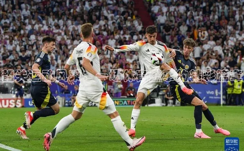 韶关运动风采：一场体育盛事的精彩篇章