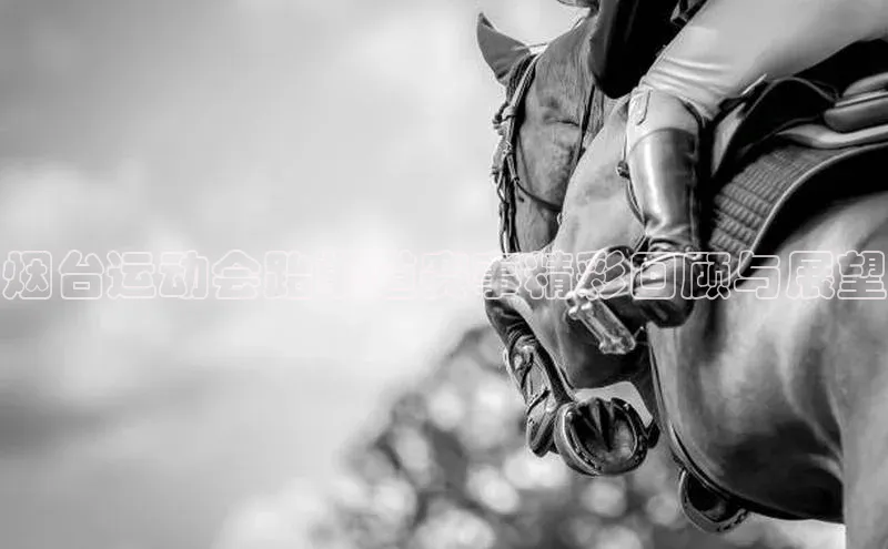 烟台运动会跆拳道赛事精彩回顾与展望