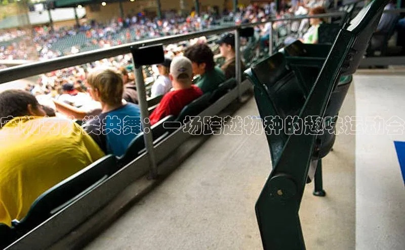 宠物与人类共舞：一场跨越物种的趣味运动会