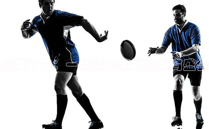 优雅对决：一场精心策划的体育盛会