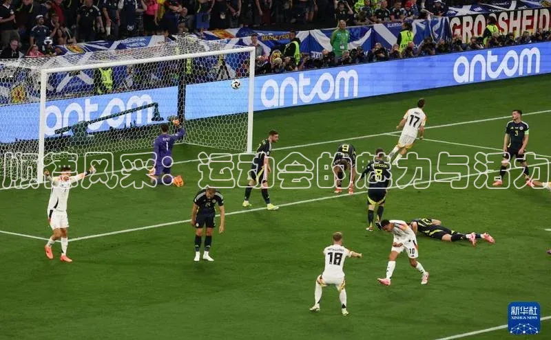 顺德风采：运动会的魅力与活力