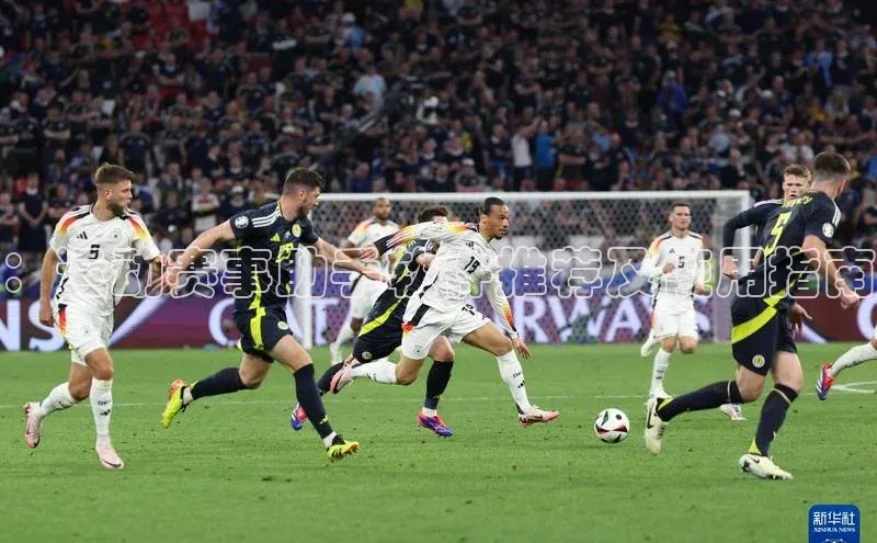 ：运动赛事助手软件推荐及使用指南