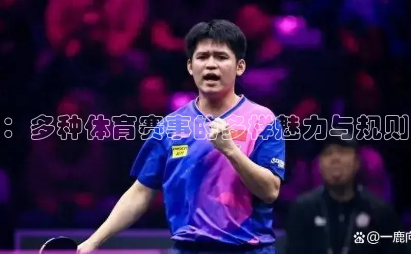 ：多种体育赛事的多样魅力与规则