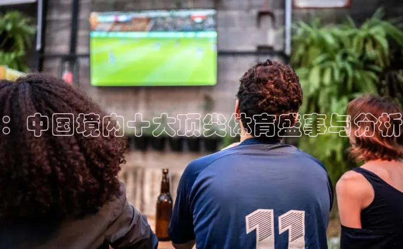 ：中国境内十大顶尖体育盛事与分析