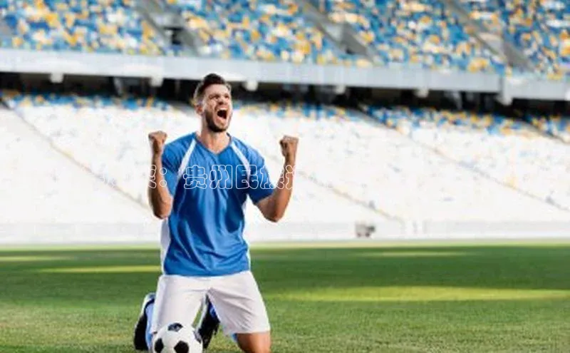 多彩民族风采：贵州民族运动会的魅力与文化传承