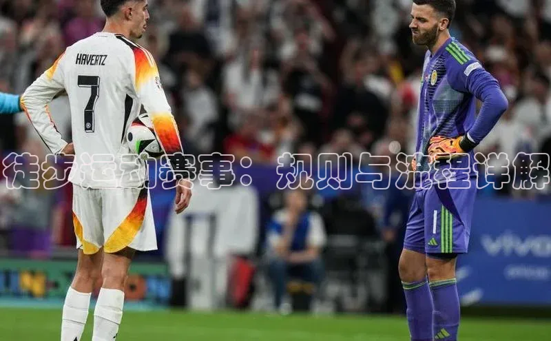 徒步运动赛事：规则与流程详解