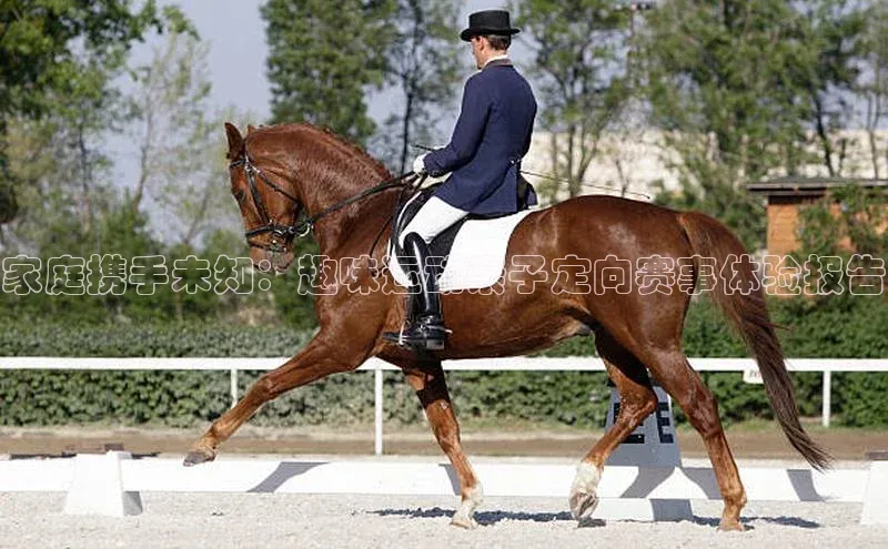 beat365·体育官网