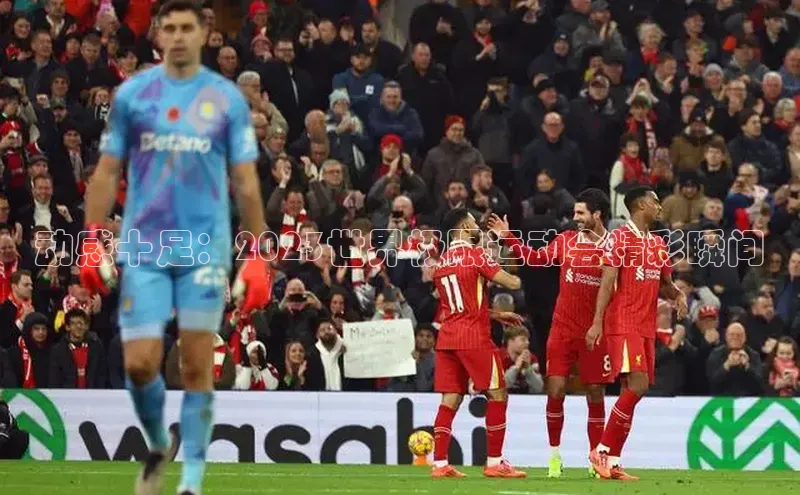 beat365安卓版下载