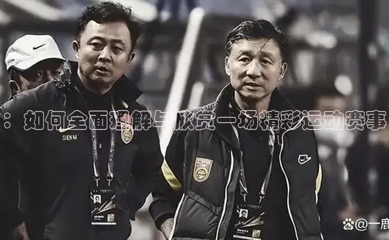 ：如何全面理解与欣赏一场精彩运动赛事